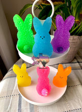 Load image into Gallery viewer, Bunny Peep *VENT CLIP SIZE*