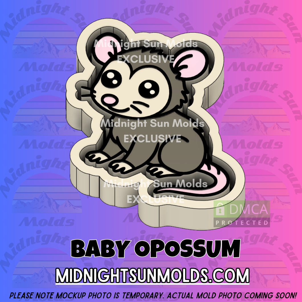 Baby Opossum